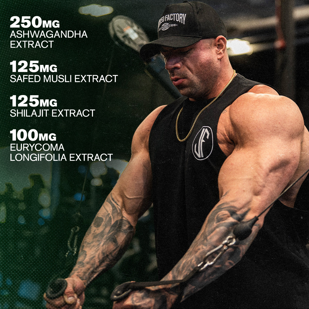 Primasurge Testosterone Booster w/PrimaVie®